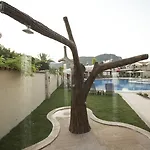 Live Dalyan