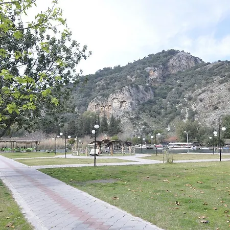 Live داليان