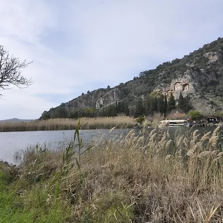 Live Dalyan