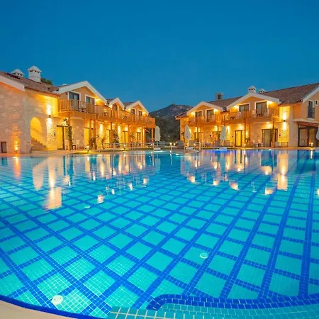 فندق Live