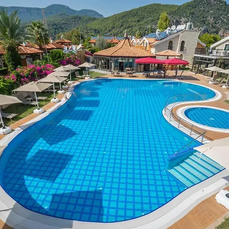 Live Hotel 3*
